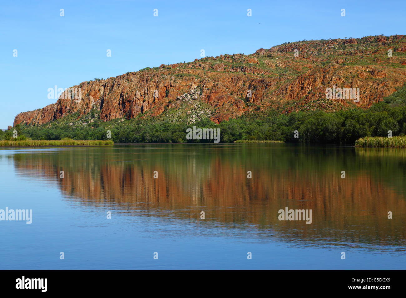 Un bluff è riflessa sulle calme acque del lago di Kununurra, Western Australia. Foto Stock