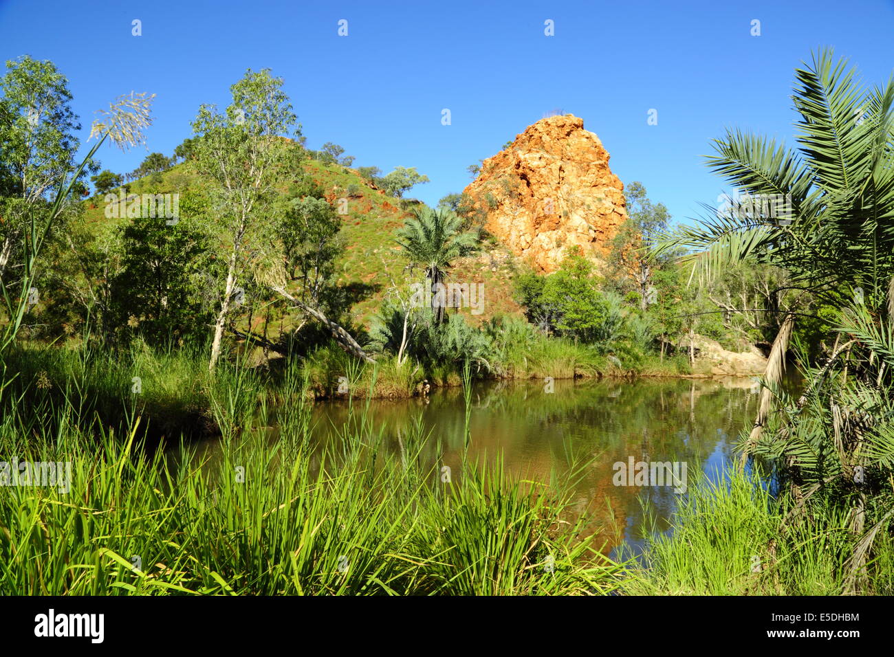 Palm Springs, vicino Halls Creek nella regione di Kimberley del Western Australia - un luogo delizioso per fare una nuotata rinfrescante. Foto Stock