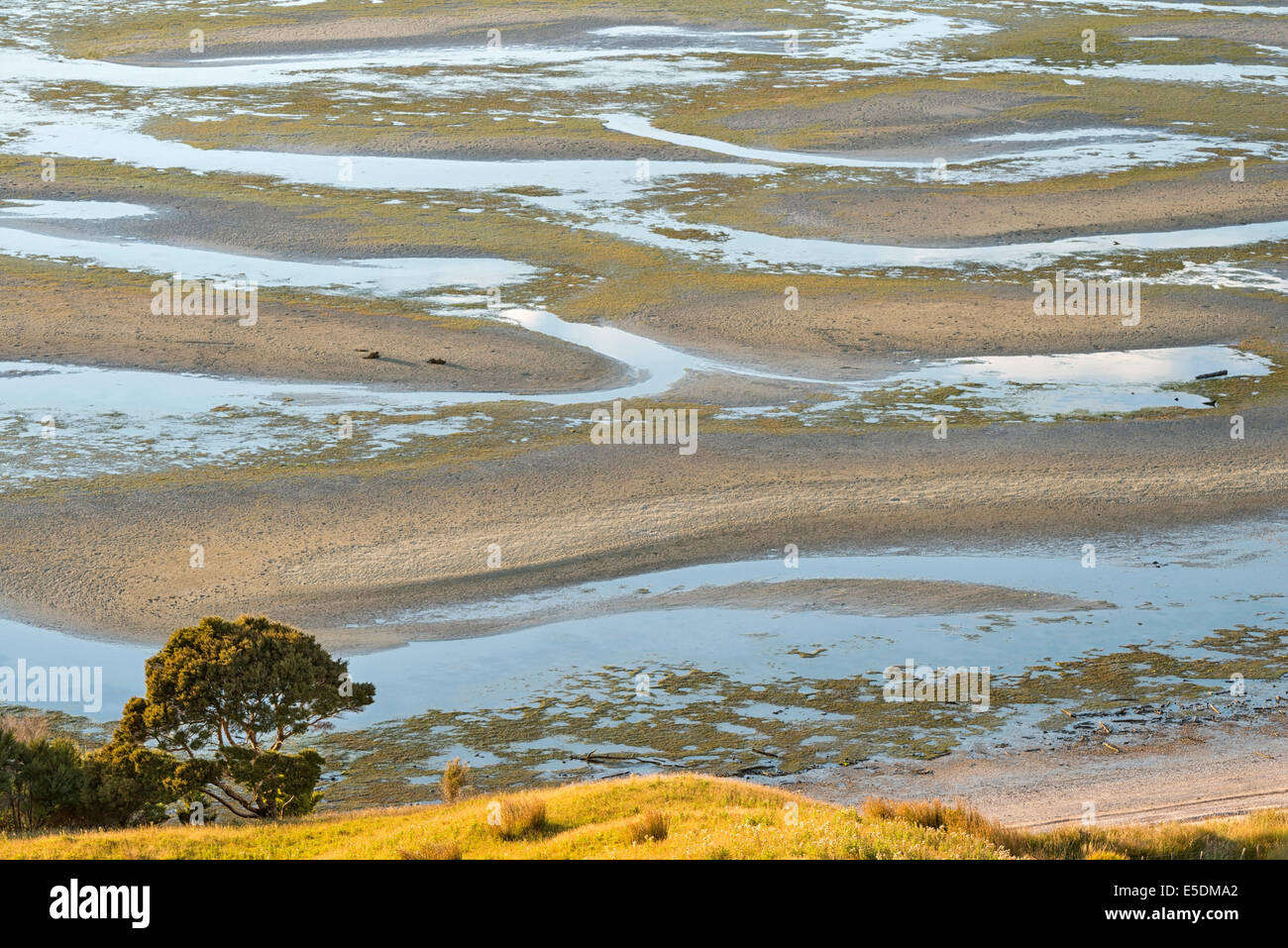 Nuova Zelanda, Golden Bay, Puponga, patterns in sabbia a bassa marea Foto Stock