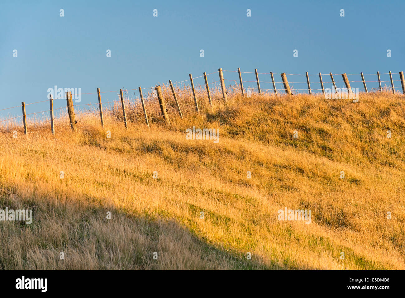 Nuova Zelanda, Golden Bay, Wharariki Beach, antica recinzione su un incolto dune di sabbia Foto Stock