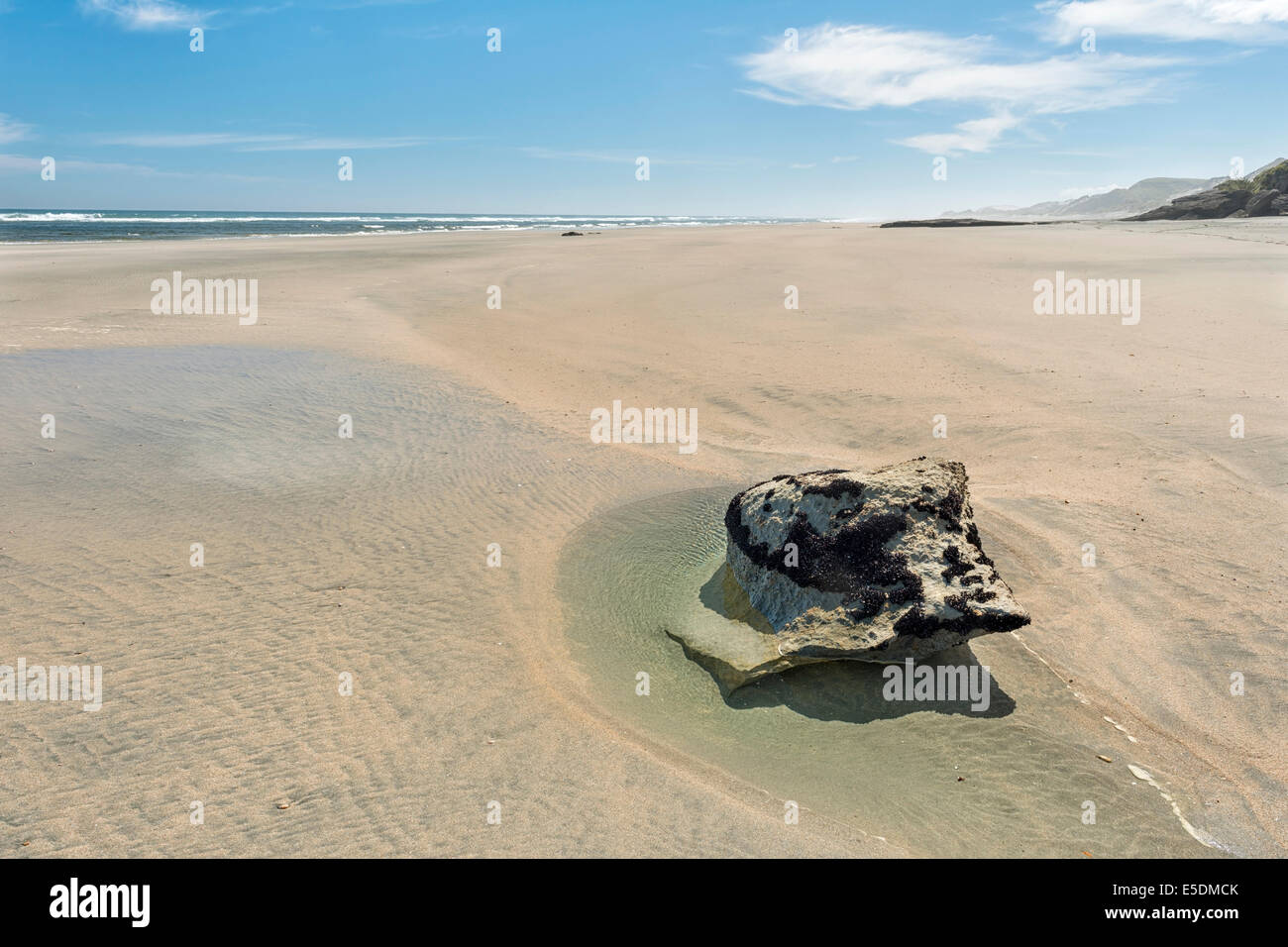 Nuova Zelanda, Isola del Sud, Tasmania, Punto di Kahurangi, rock in una pozza su una spiaggia abbandonata Foto Stock