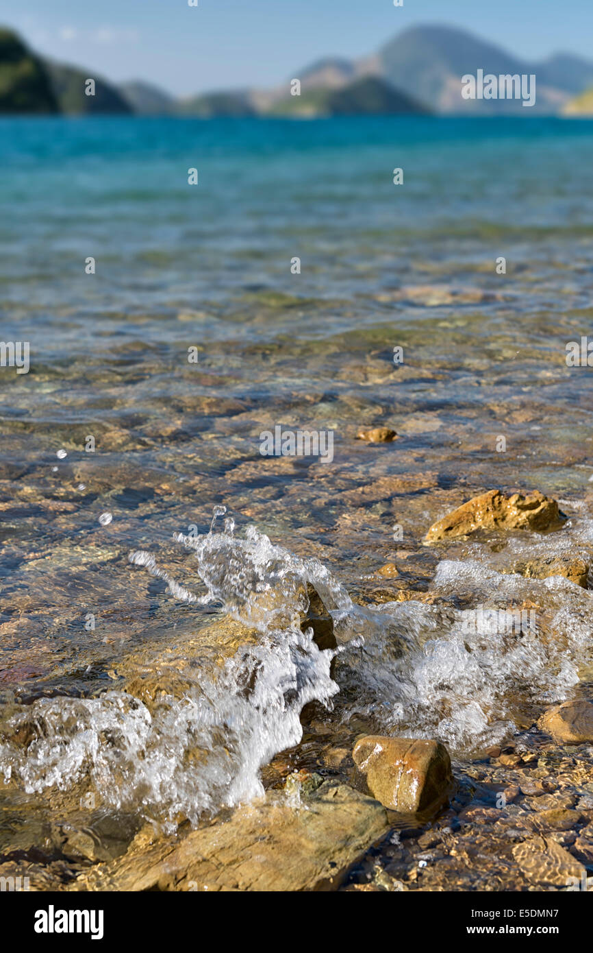 Nuova Zelanda, Isola del Sud, Marlborough Sounds, Tennyson ingresso, shore a suoni di Duncan Bay Foto Stock