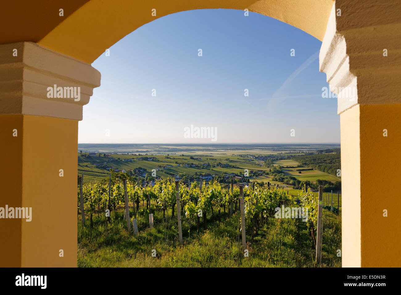 Austria, Burgenland, Oberwart distretto, vista da Kellerstoeckl oltre il vigneto di Eisenberg an der Pinka Foto Stock