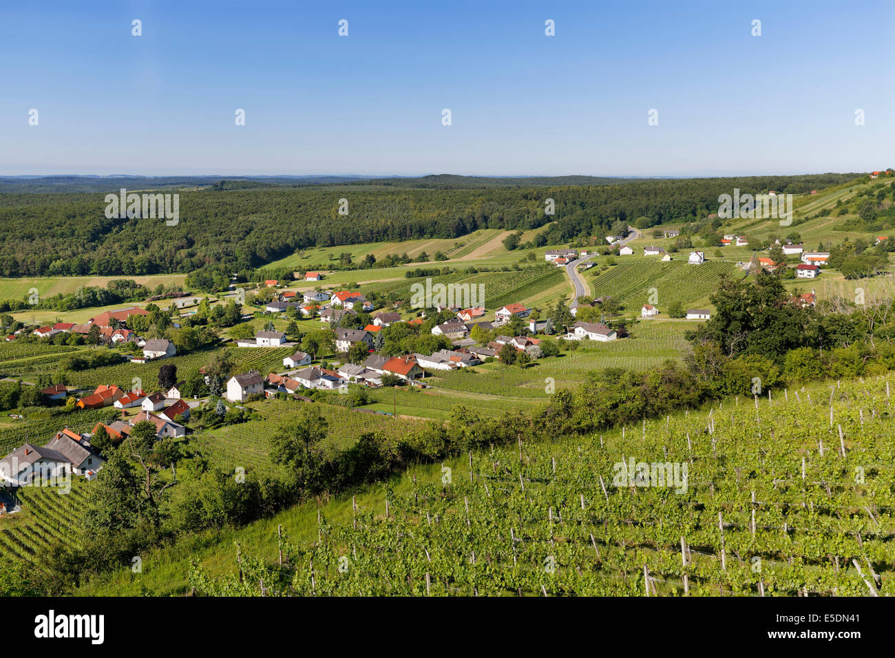 Austria, Burgenland, Oberwart distretto, Eisenberg an der Pinka, vigneto Foto Stock
