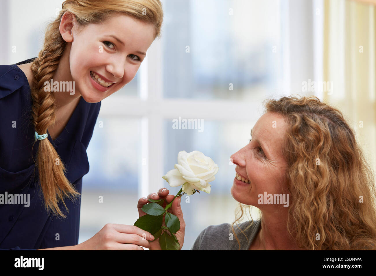 Figlia presentando la sua madre una rosa bianca blossom Foto Stock