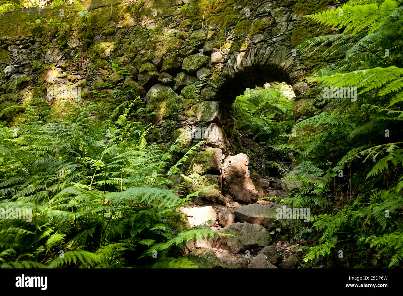 Il ponte di pietra a cubo de La Galga foresta laurel, La Palma Isole Canarie Spagna, Europa Foto Stock