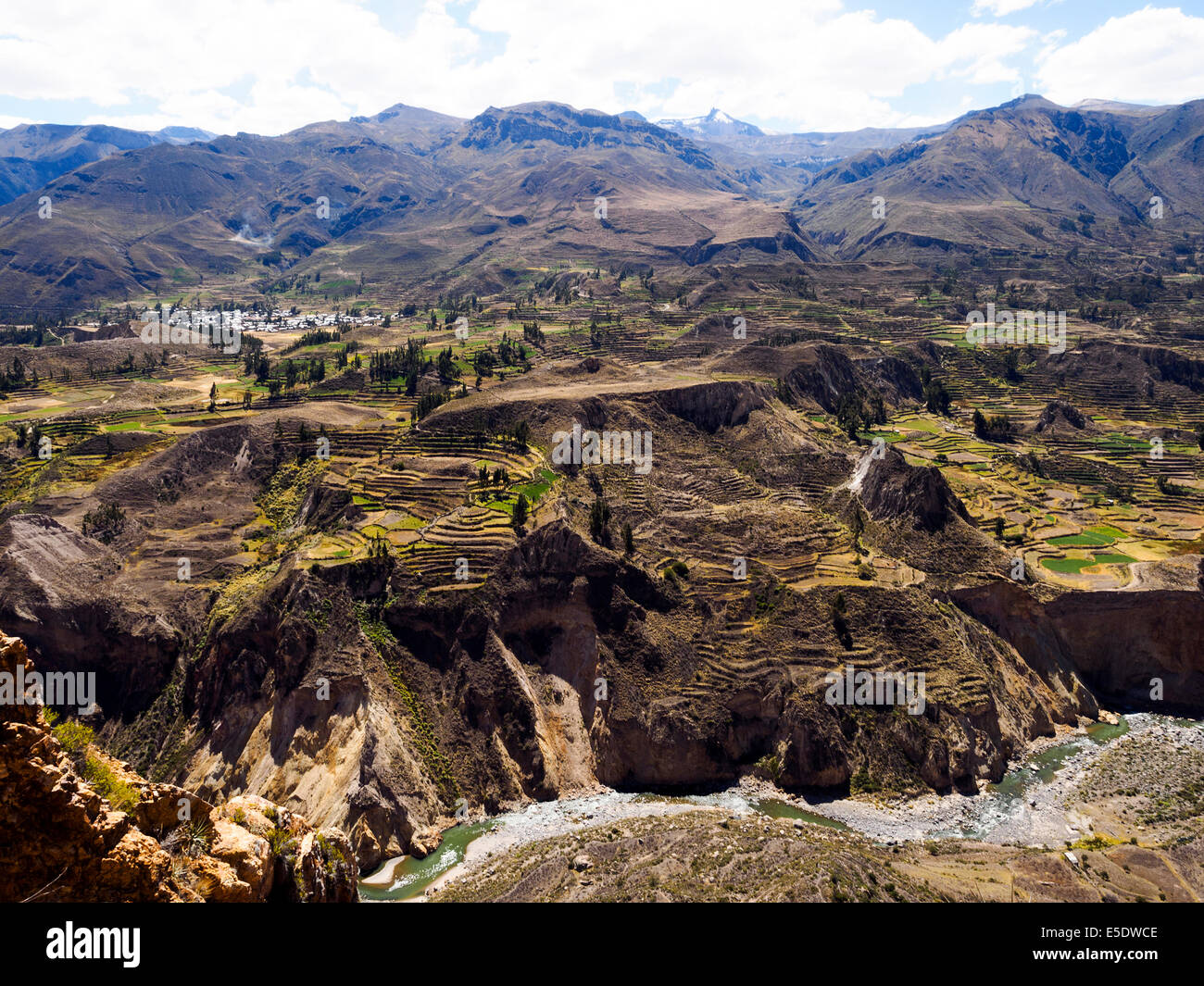 Terrazze agricole nel Canyon del Colca - Perù Foto Stock