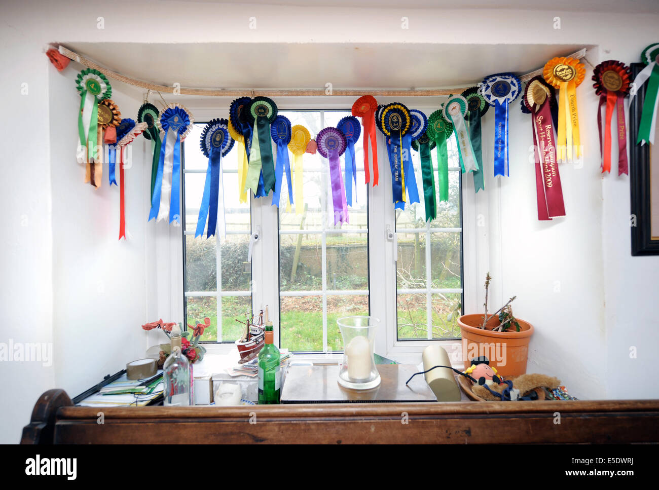 Horse Show rosette appeso in una casa colonica in Dorset Regno Unito Foto Stock