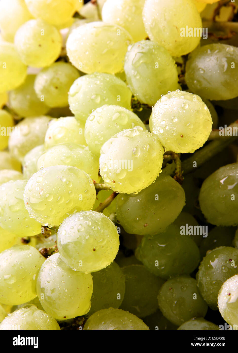 Grappolo di uva, può essere utilizzato come sfondo Foto Stock