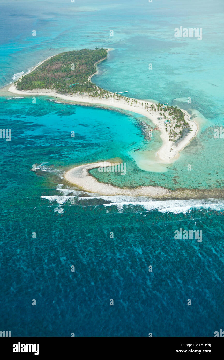Riprese aeree di Half Moon Caye Belize, Caraibi, parte del Belize Barrier Reef Reserve System sito Patrimonio Mondiale dell'UNESCO Foto Stock