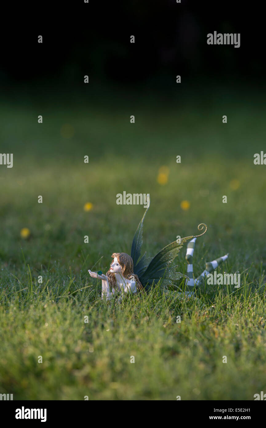 Fairy ornamento in erba illuminato dalla luce solare Foto Stock