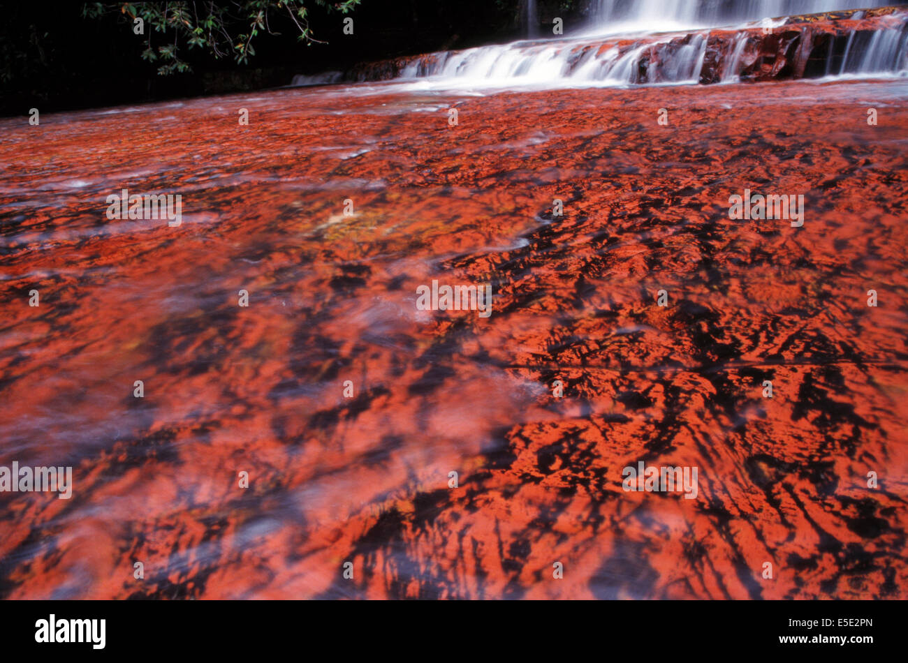 Quebrada de Jaspe (Kako Parú), una cascata in Gran Sabana Canaima, Gran Sabana, del sud del Venezuela Foto Stock