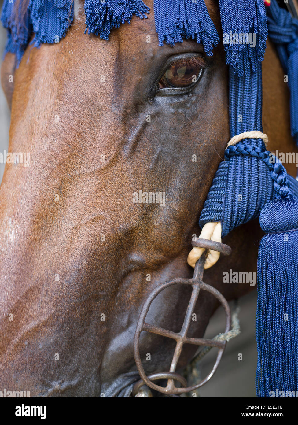 Soma Nomaoi un tradizionale samurai giapponese horseman festival tenutosi a Minami Soma, Fukushima Prefettura, Giappone. La zona è ancora riprendendo dal 2011 Tohoku terremoto e tsunami. Credito: Chris Willson/Alamy Live News Foto Stock