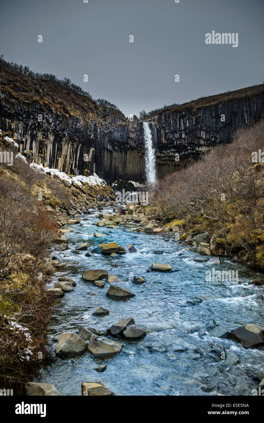 Svartifoss cade nero), Islanda Foto Stock