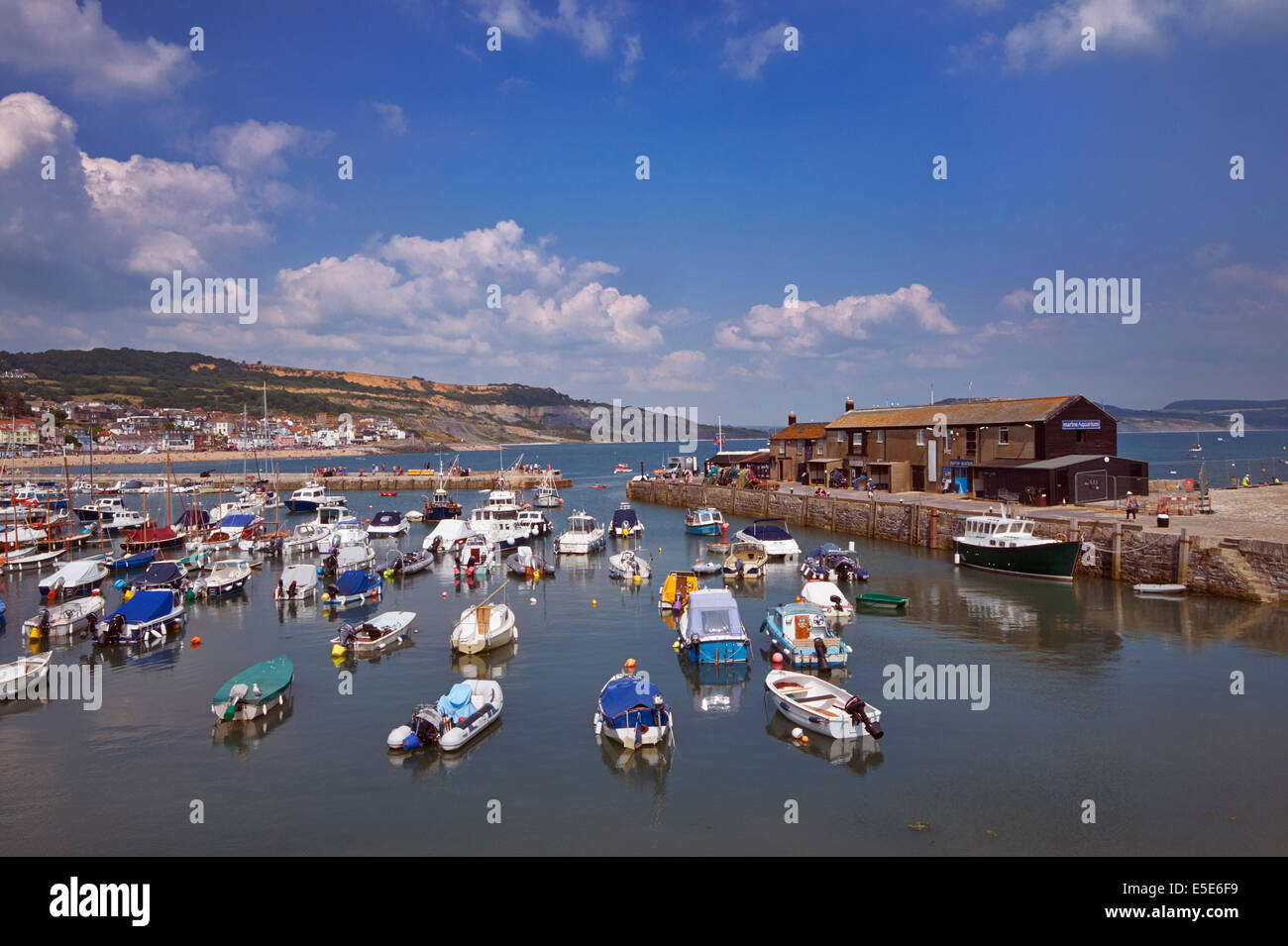 Il Cobb e il porto a Lyme Regis, Dorset, Regno Unito. Foto Stock