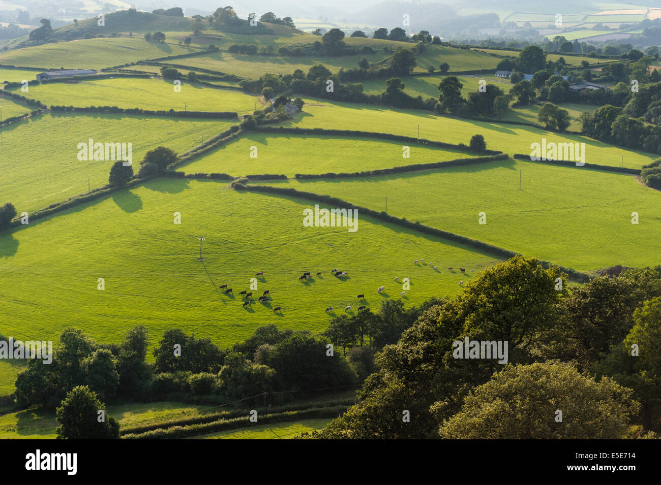 Vista serale di ombre di Hergest Ridge in terra di confine gallese, Powys, Regno Unito Foto Stock