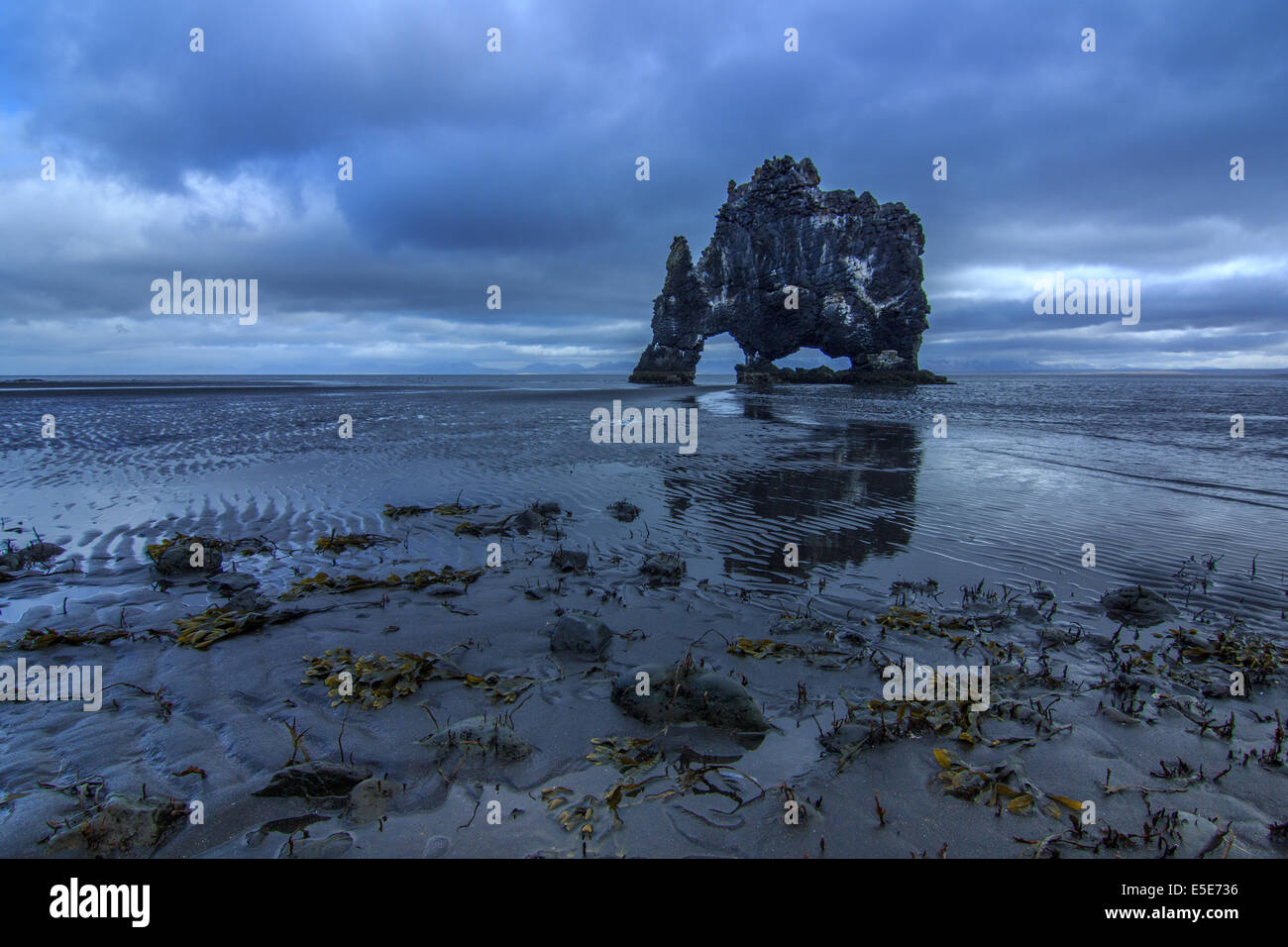 Hvitserkur, una spettacolare formazione rocciosa nella costa nord di Islanda Foto Stock