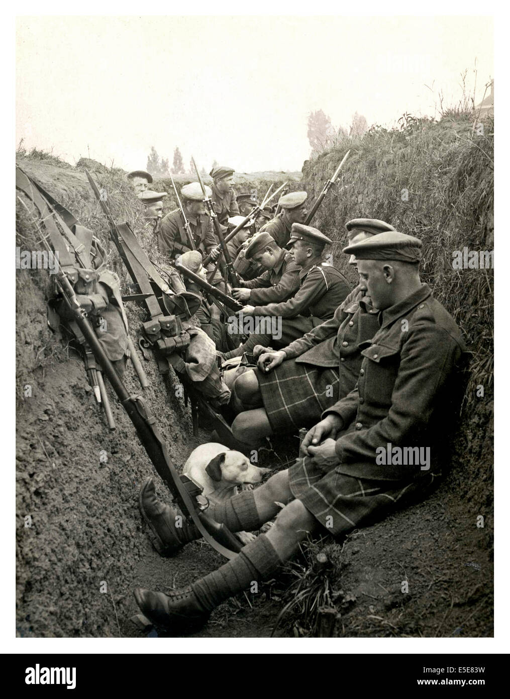 Immagine storica di WW1 Highland territorials e la loro mascotte cane attendere ad "andare oltre la parte superiore" in una trincea nel nord della Francia Foto Stock
