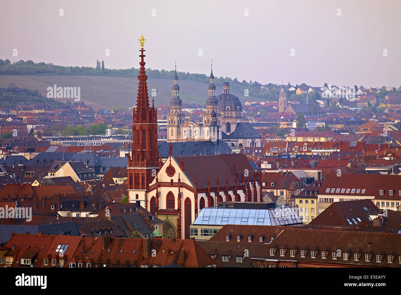 Vista della chiesa collegiata Haug con Santa Maria la cappella in Würzburg, Germania Foto Stock