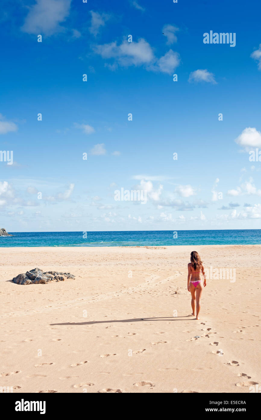 Figura in un paesaggio. Una giovane donna su una spiaggia tropicale deserta sull'isola Fernando de Noronha in Brasile Foto Stock