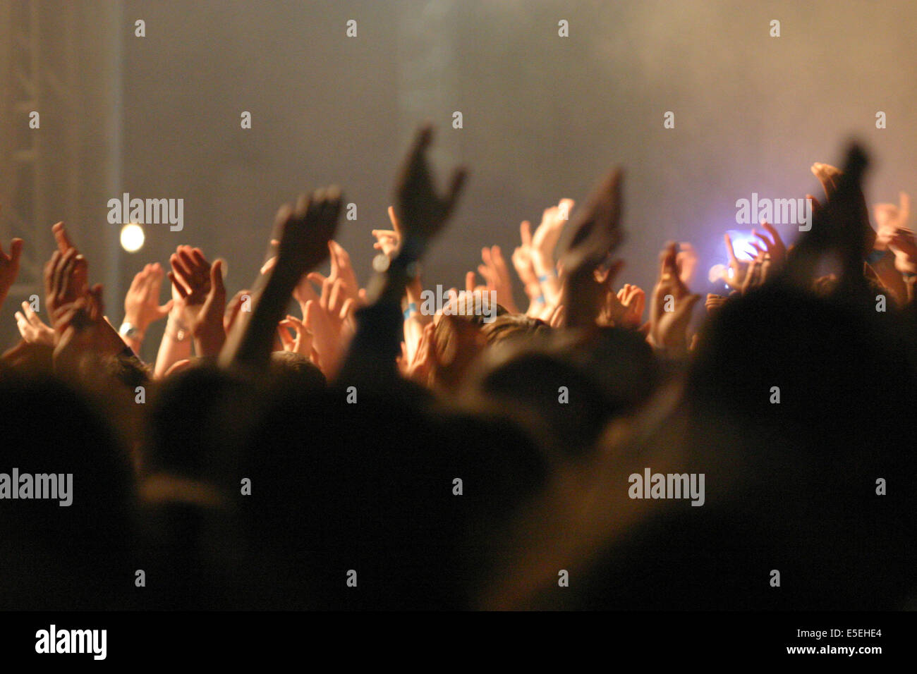 Francia, Normandie, eure, evreux, festival : le Rock Dans Tous Ses Etats, pubblico, concerto, foule, principali levee, Foto Stock