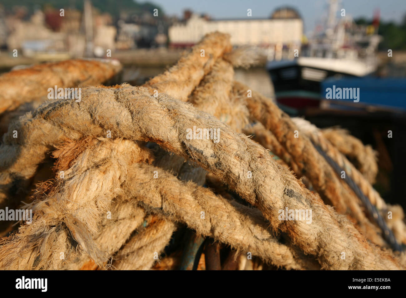 Francia, basse Normandie, calvados, cote fleurie, Honfleur, l'avant port, Cordages, peche, Foto Stock