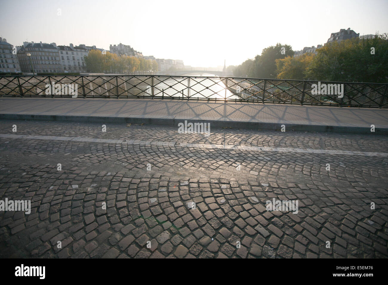 Francia, parigi 4e, ile de la CITE, la seine, rue Pavee, pont de l'archeveche, Foto Stock