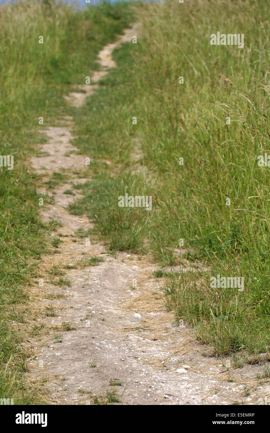 Francia, Haute Normandie, eure, chemin de terre, herbe, randonnee, cote des deux amants, amfreville sous les monts, Foto Stock