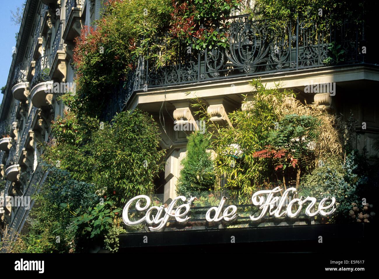 Francia, ile de france, paris 6e, saint germain des pres, cafe de flore, boulevard saint germain. Data : 2011-2012 Foto Stock