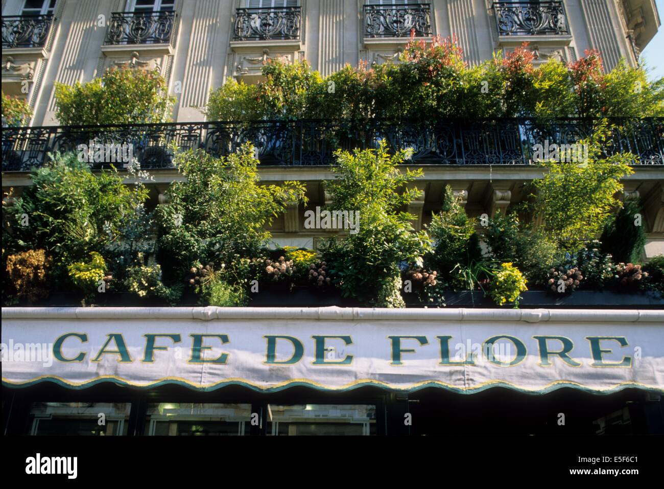 Francia, ile de france, paris 6e, saint germain des pres, cafe de flore, boulevard saint germain. Data : 2011-2012 Foto Stock