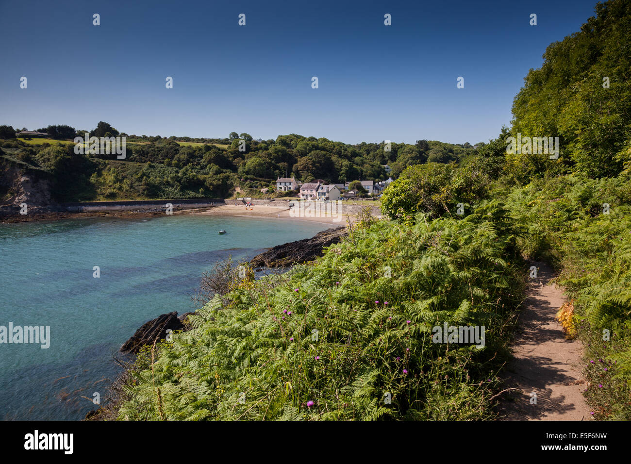 Cwm-yr-Eglwys Bay, vicino a Dinas testa come visto da Il Pembrokeshire Coast Path, vicino a Fishguard, Pembrokeshire, Galles Foto Stock