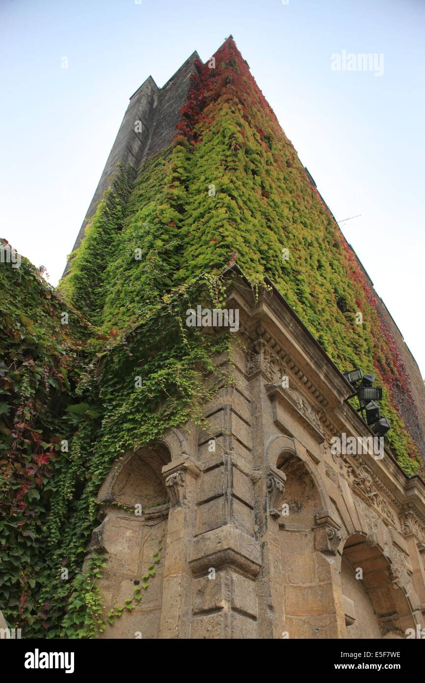 Francia, ile de france, parigi 4e circondario, le marais, 62 rue saint antoine, hotel de bethune sully, centro des monumenti nazionaux, facciata sur la seconde cour, Angle du mur renard. Data : 2011-2012 Foto Stock