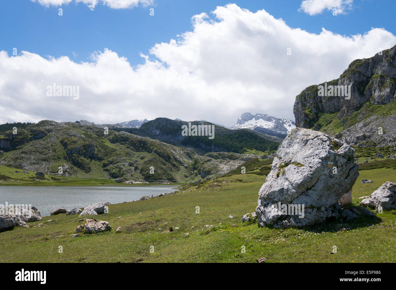 Il lago Ercina, con cantabrici in background, Parco Nazionale Picos de Europa Asturias, Spagna, Europa Foto Stock