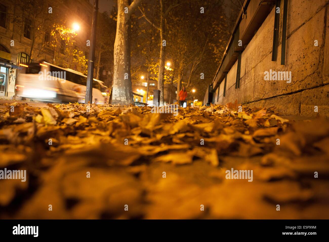 Francia, Ile de France, Parigi, 1e arrondissement, Ile de la Cite, Senna, quai de l'Horloge, conciergerie depuis le quai de gesvres, nuit, matin, Foto Stock