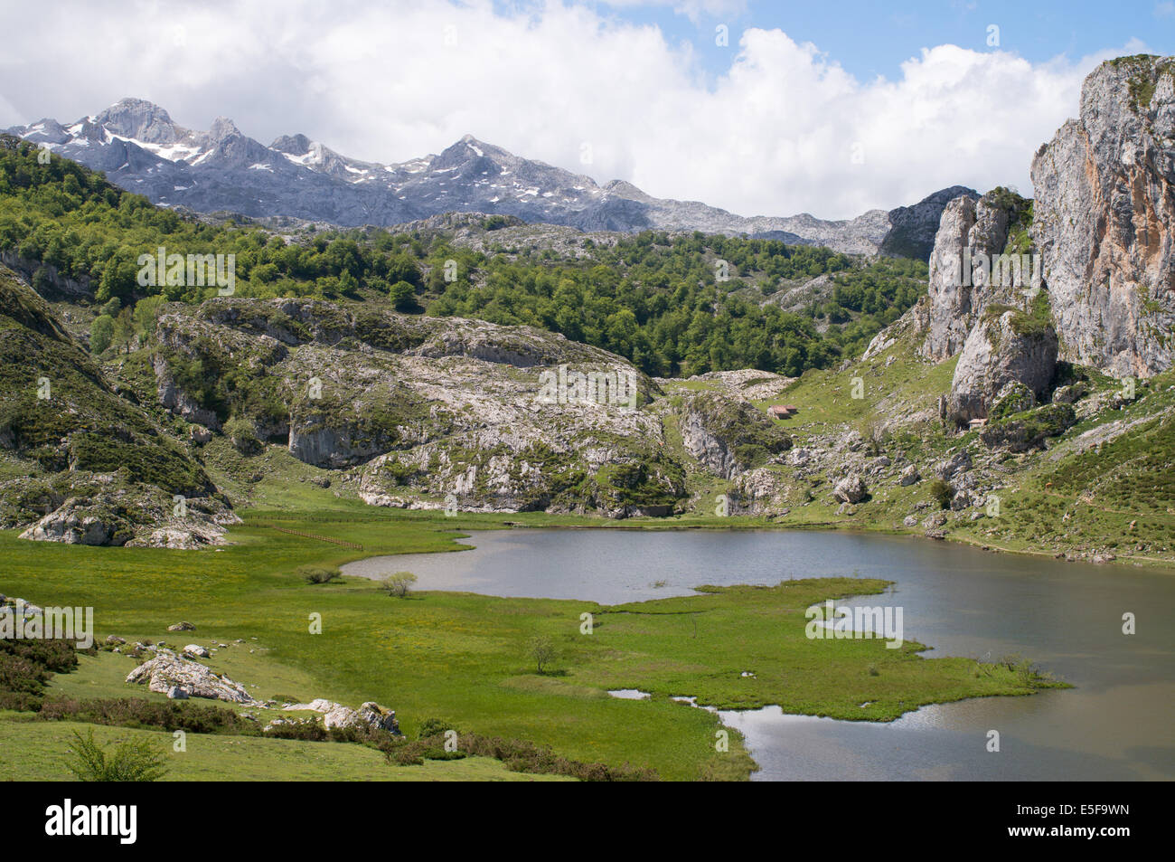 Lago de la Ercina, Parco Nazionale Picos de Europa, con Cantabrici in background Asturias, Spagna Europa Foto Stock