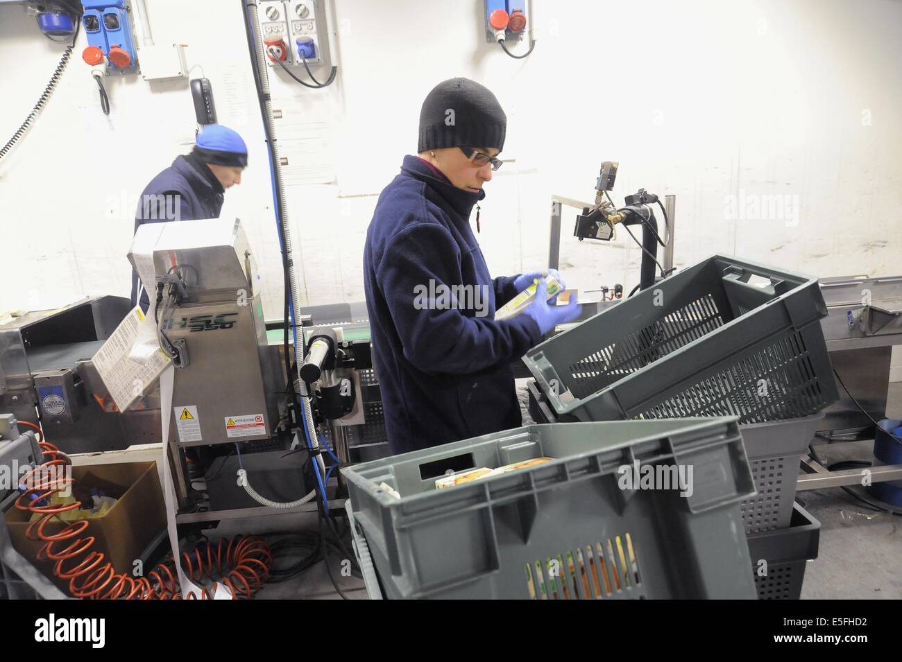Con.Bio. a Santarcangelo di Romagna, azienda leader in Italia per la produzione di vegetali e alimenti biologici Foto Stock