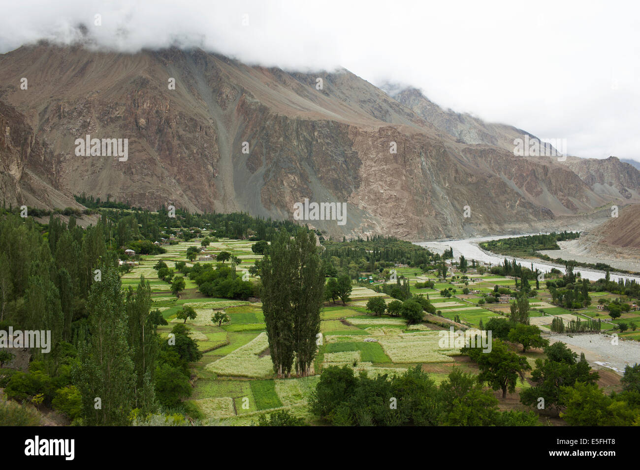 Turtuk è un piccolo villaggio nella Valle di Nubra vicino al confine pakistano. Foto Stock