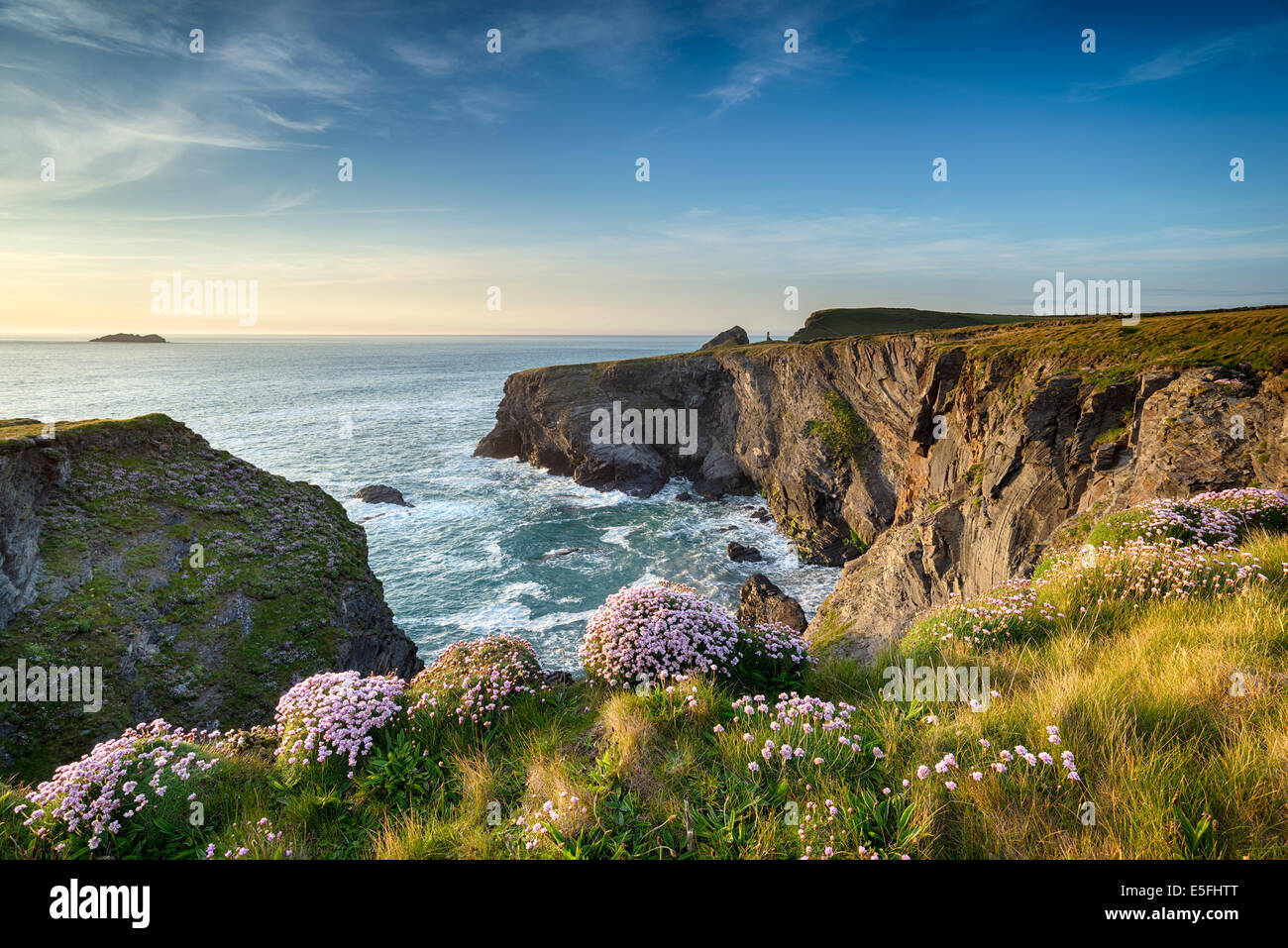 La costa sud-ovest il percorso nei pressi di Longcarrow Cove in Cornovaglia Foto Stock