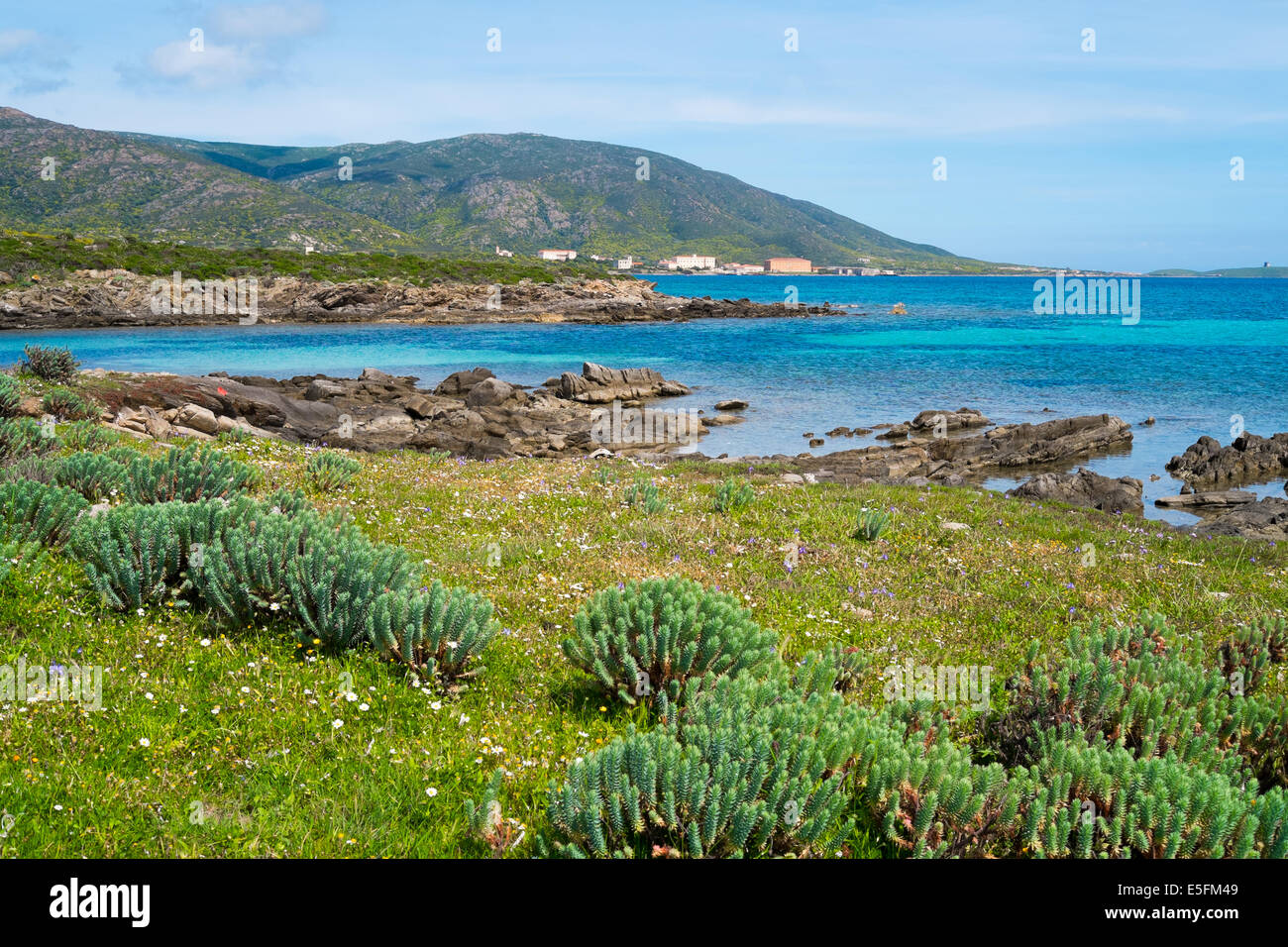 Paesaggio nell' isola dell'Asinara in Sardegna, Italia Foto Stock