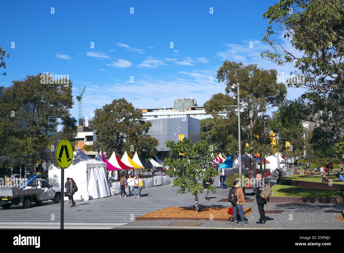 Università di Sydney e Campus studenti, università pubblica fondata nel 1850 , Australia della prima università,Camperown,Sydney Foto Stock