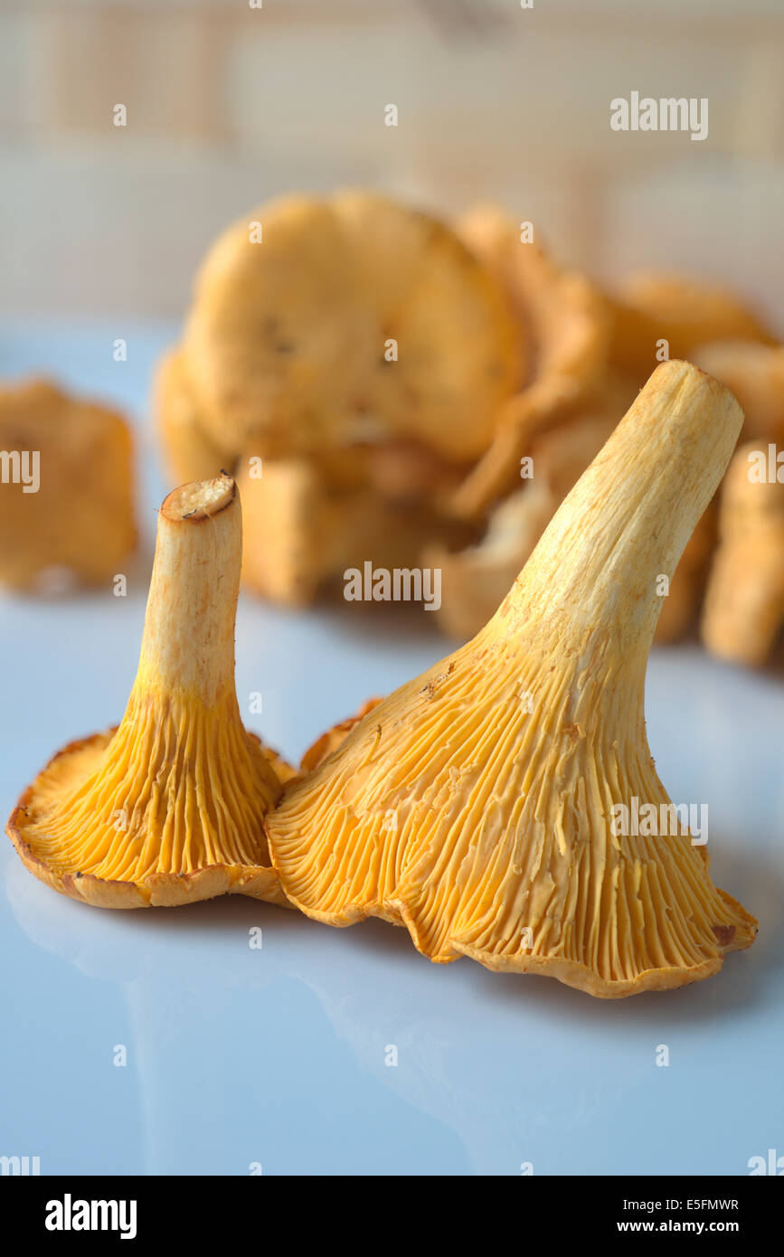 finferli Foto Stock