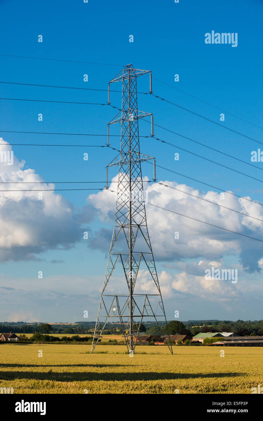 Un traliccio di elettricità in un campo contro un cielo blu con nuvole, Shropshire, Inghilterra Foto Stock