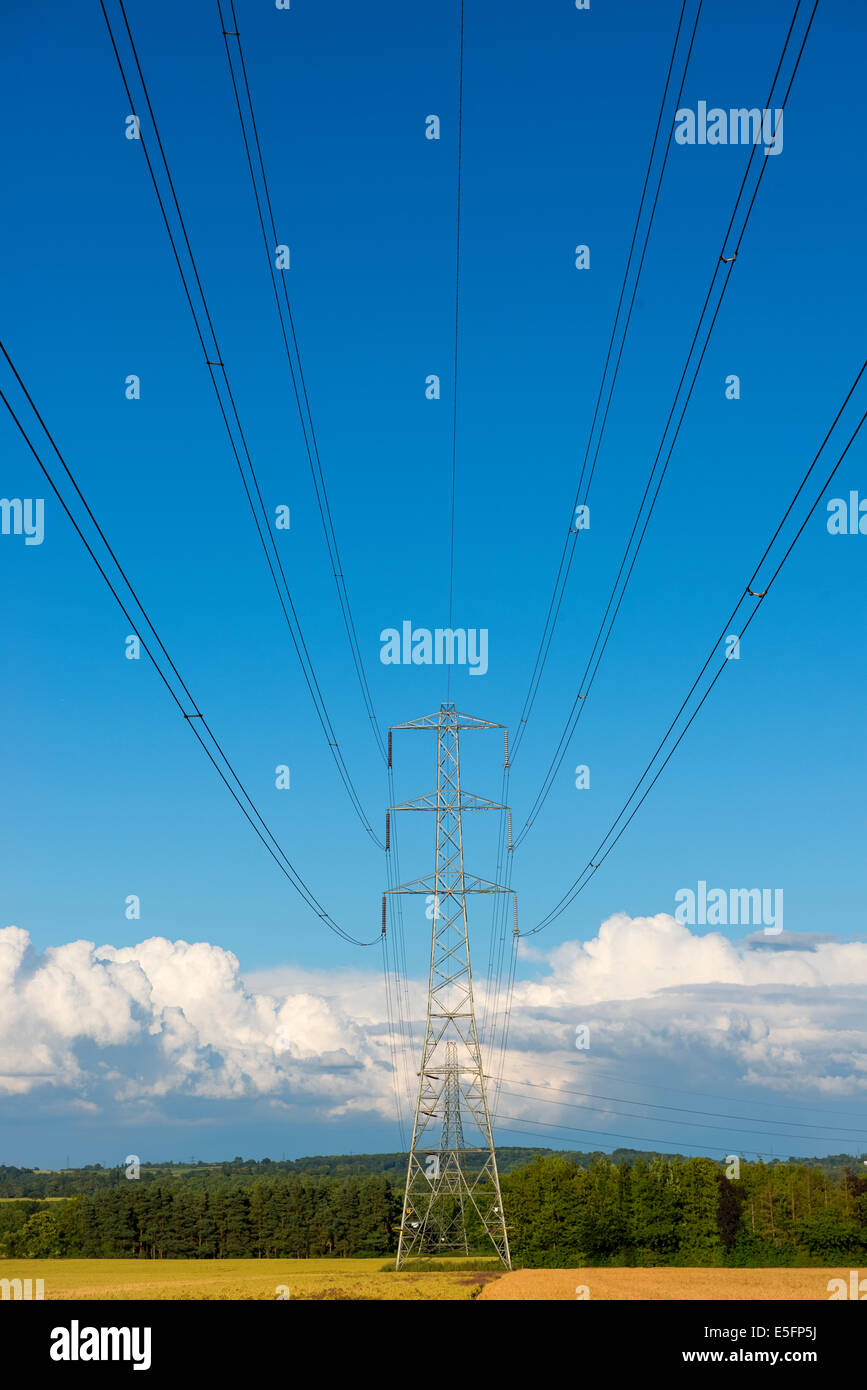 Un traliccio di elettricità in un campo contro un cielo blu con nuvole, Shropshire, Inghilterra Foto Stock