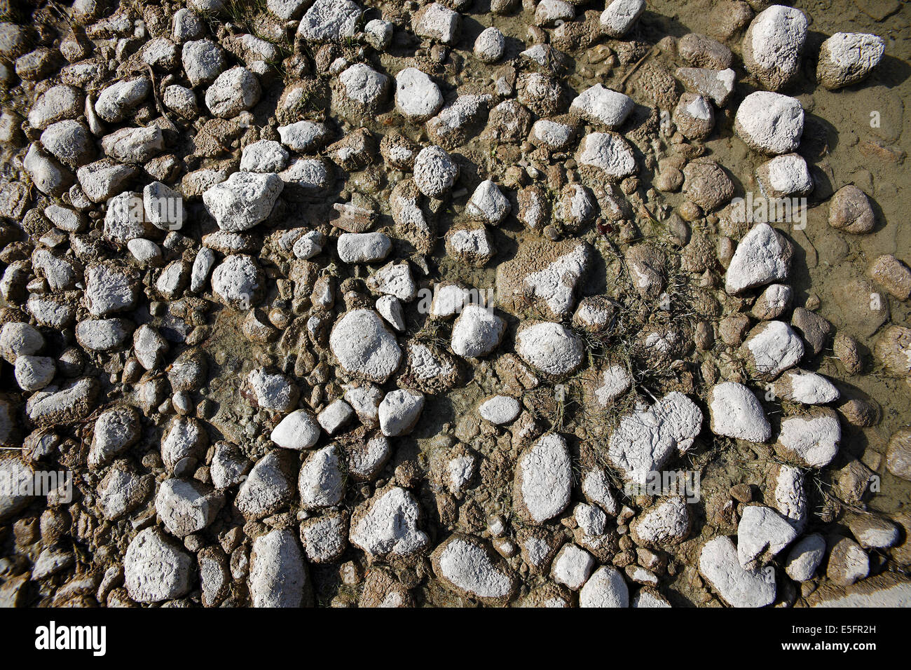 Close up wet struttura in pietra al lago Foto Stock