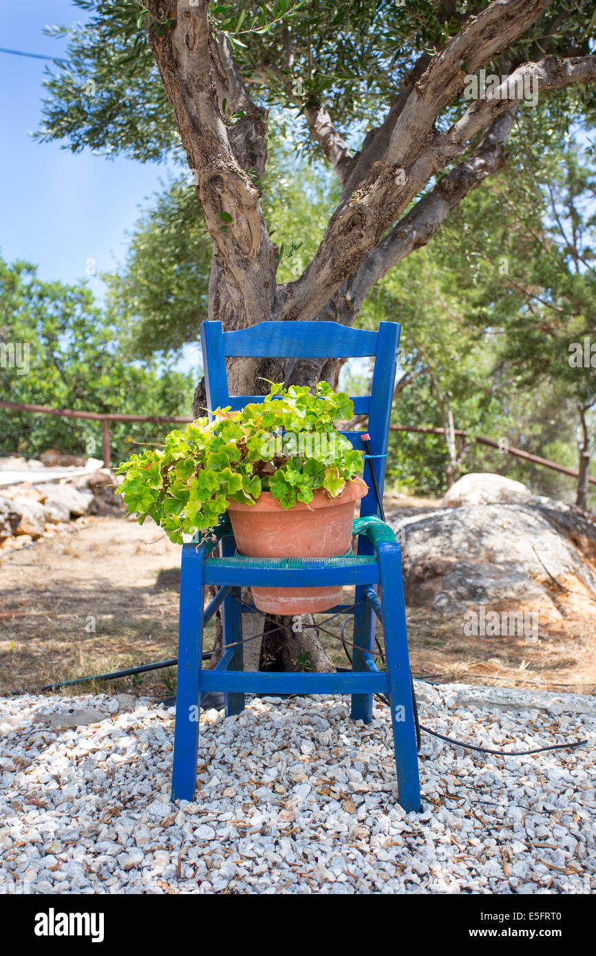 Una sedia decorativo tenendo un vasi di fiore in Agios Nikolaos. Foto Stock