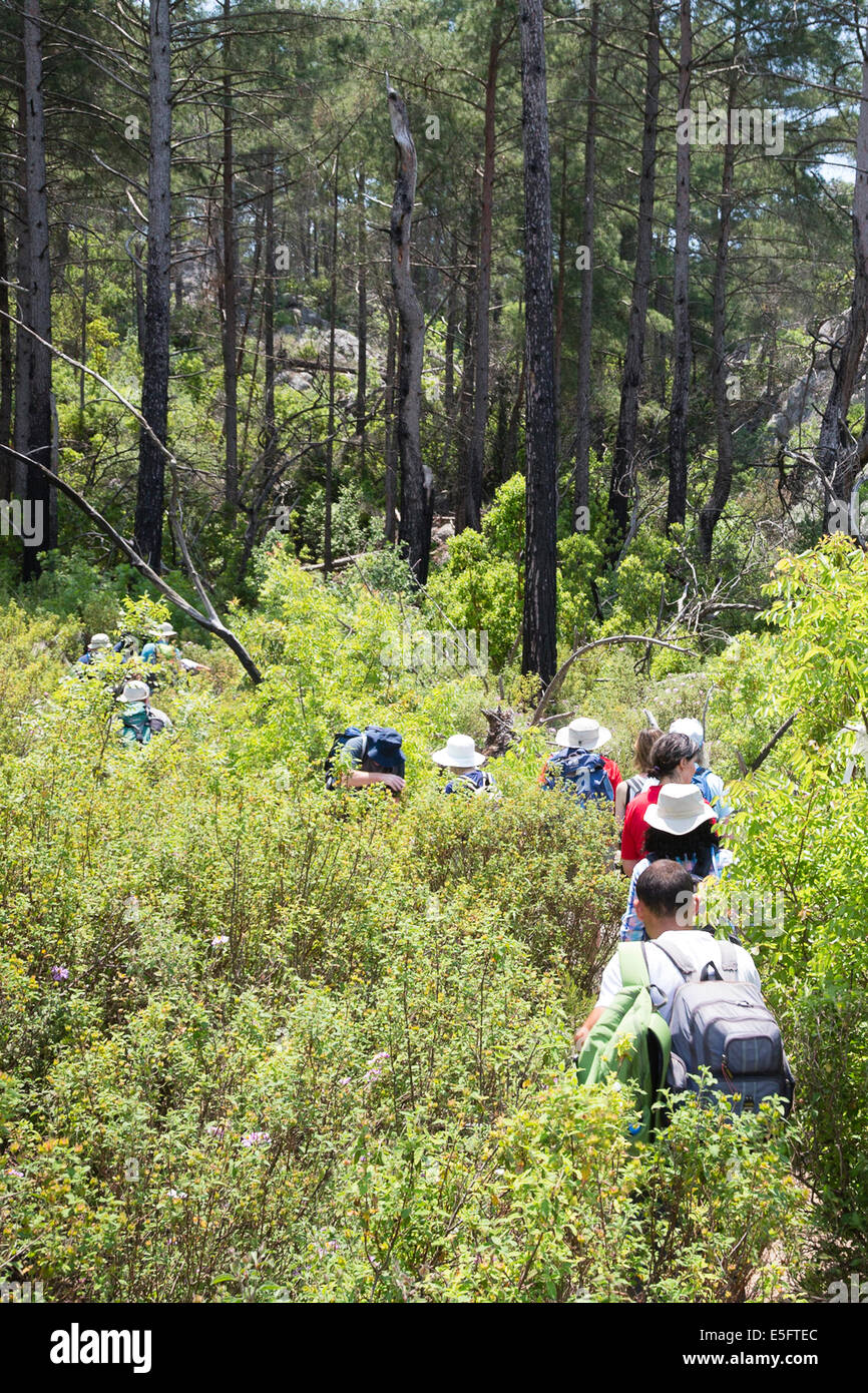 CIRALI, Turchia esodo gruppo trekking sulla Via Licia. Foto Stock