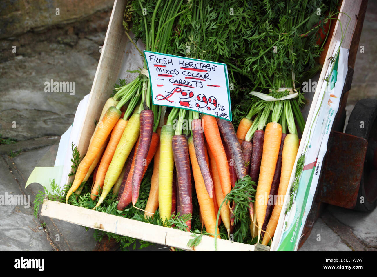 Una scatola di carote in vendita tra cui varietà porpora. Foto Stock
