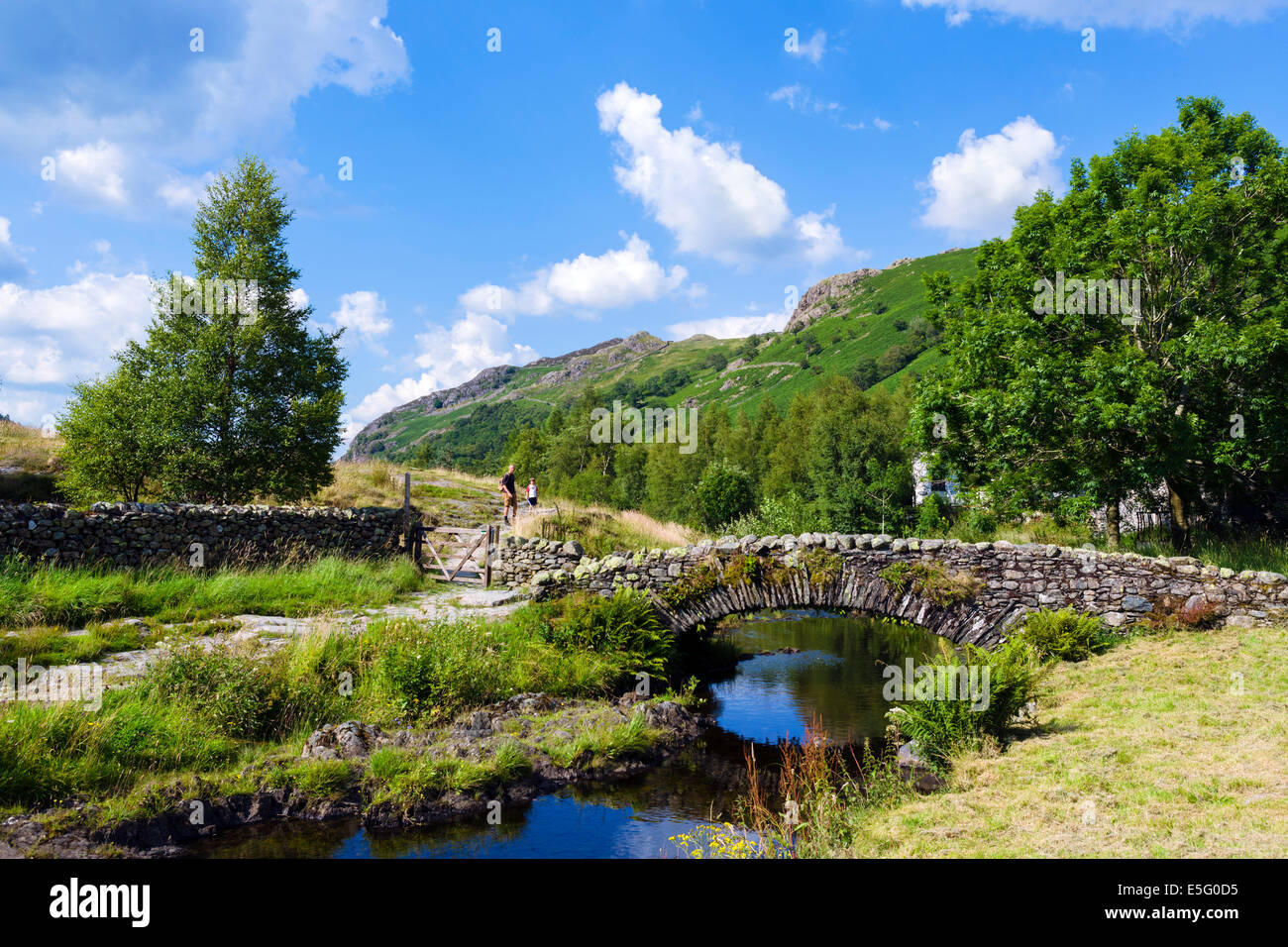 Lake District inglese. Watendlath Beck, Borrowdale, Parco Nazionale del Distretto dei Laghi, Cumbria, England, Regno Unito Foto Stock