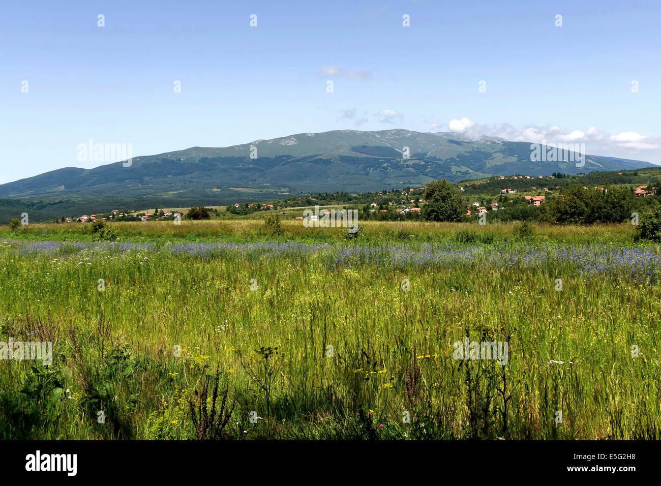 Guardare al Monte Vitosha dal plana, Bulgaria Foto Stock