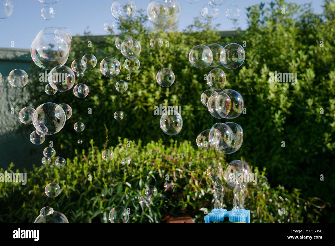 Bolle di sapone galleggianti in aria Foto Stock